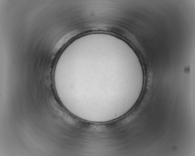 X0000112820978200909181621