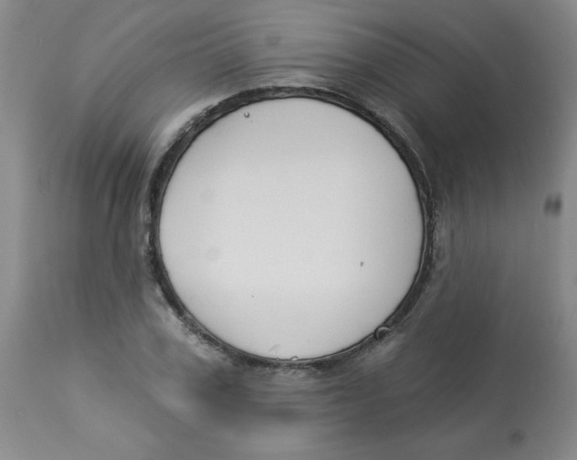 X0000112820979200909181621