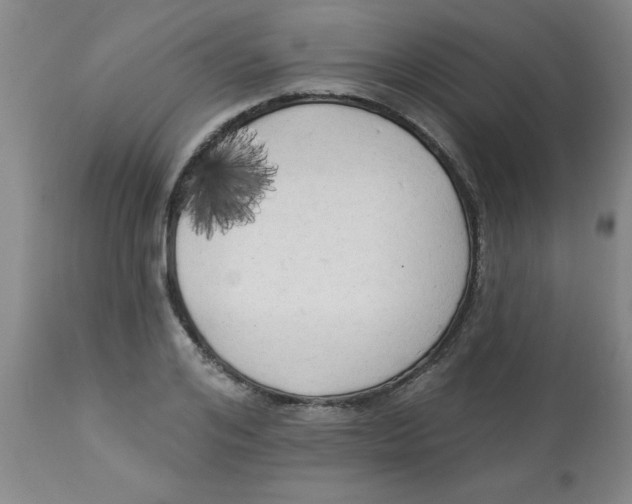 X0000112820984200909181621
