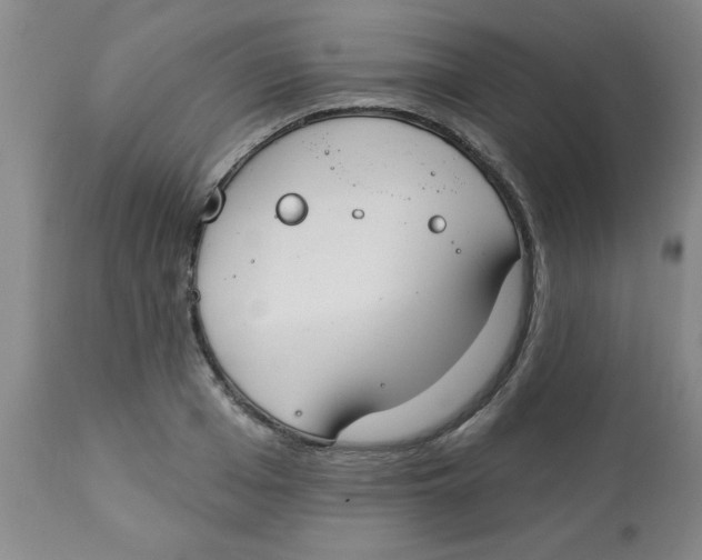 X0000112820985200909181621