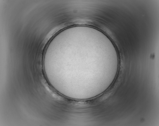 X0000112820986200909181620