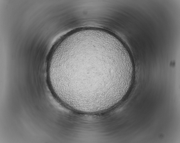 X0000112820987200909181620