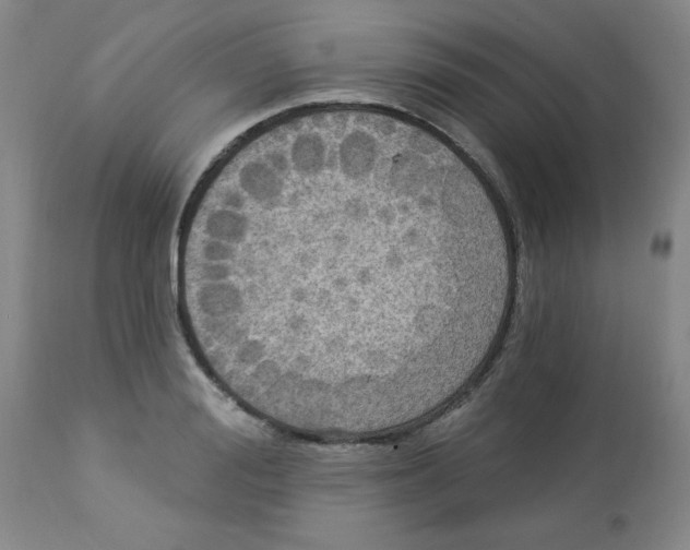 X0000112820988200909181620