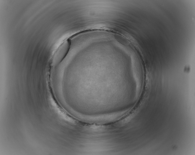 X0000112820989200909181620