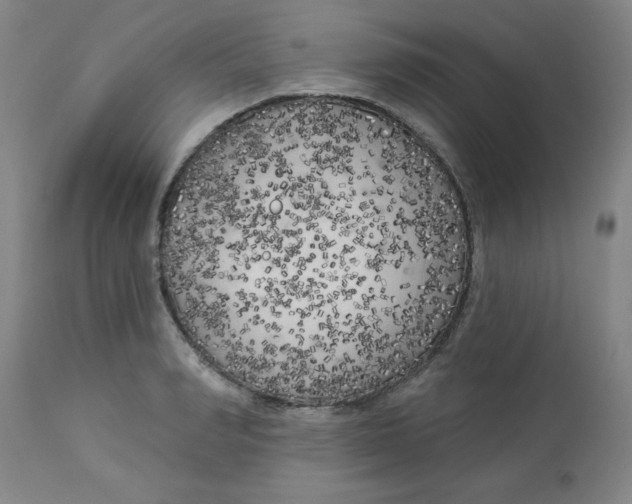 X0000112820990200909181620