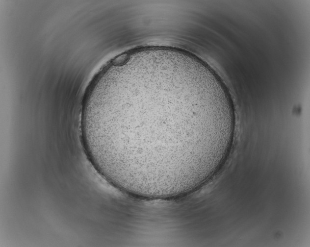 X0000112820992200909181620