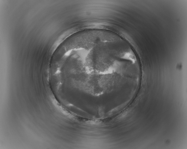 X0000112820994200909181620