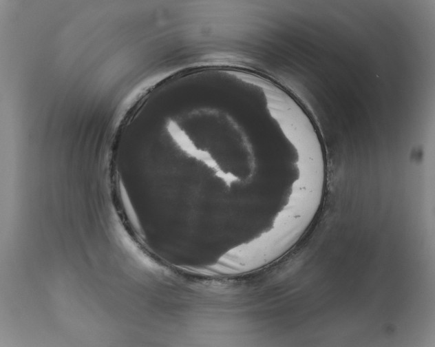 X0000112820995200909181620