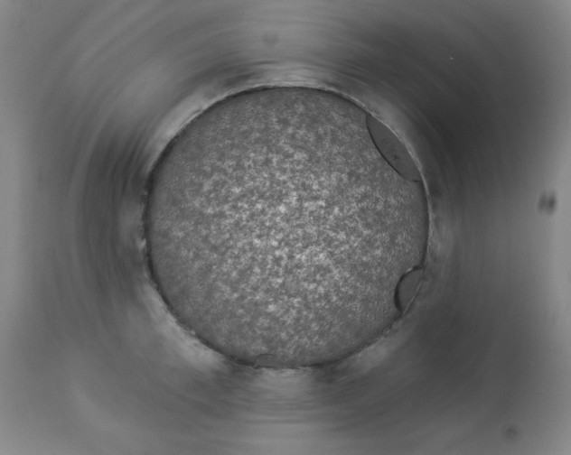 X0000112820997200909181620