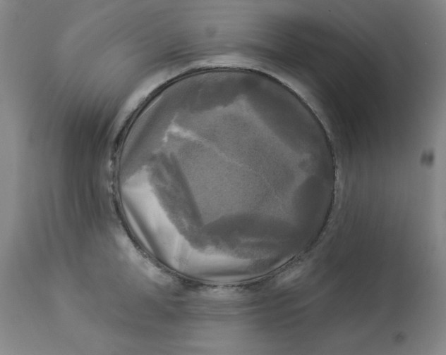 X0000112820998200909181620