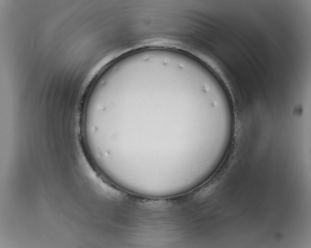 X0000112820999200909181620