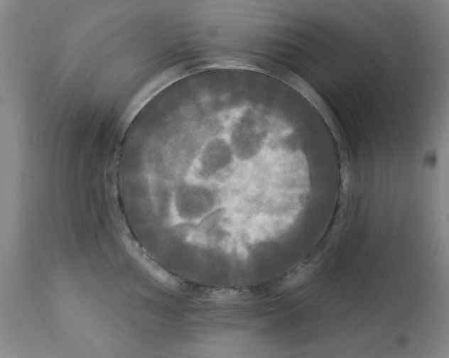 X0000112821002200909181620