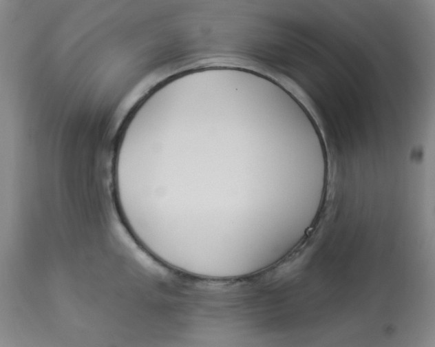 X0000112821005200909181620