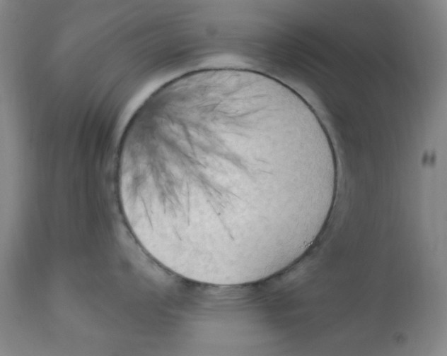 X0000112821008200909181620