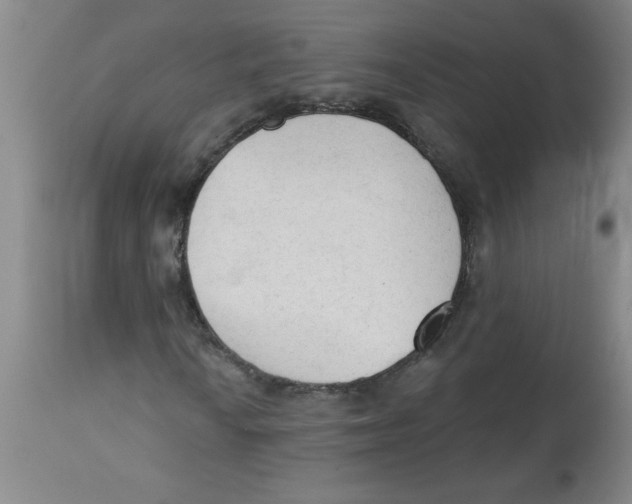 X0000112821010200909181620