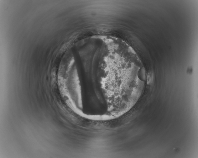 X0000112821011200909181620