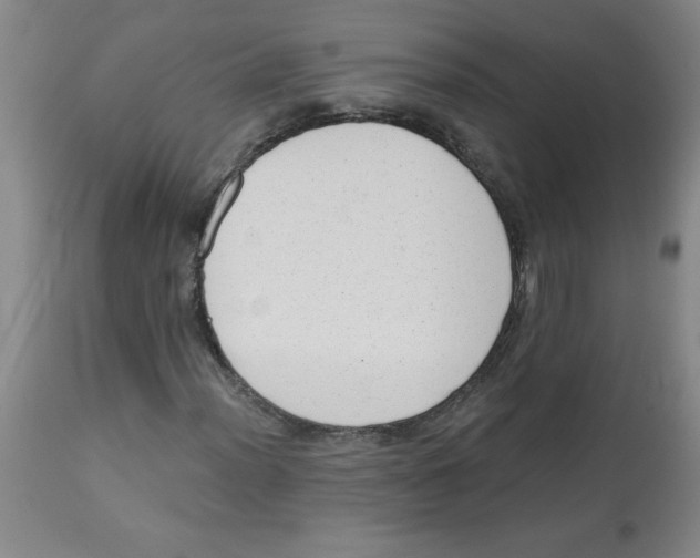 X0000112821012200909181620