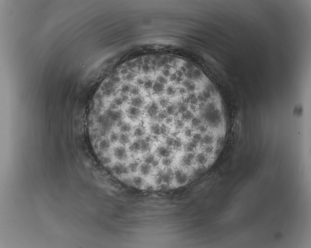 X0000112821014200909181620
