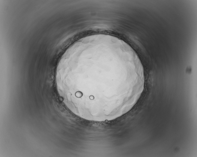 X0000112821015200909181620