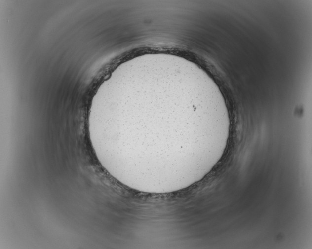 X0000112821016200909181620