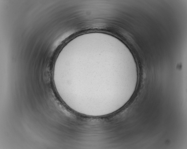 X0000112821018200909181620