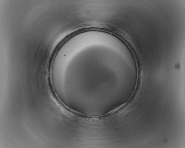 X0000112821024200909181620