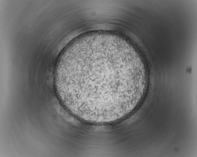 X0000112821025200909181620