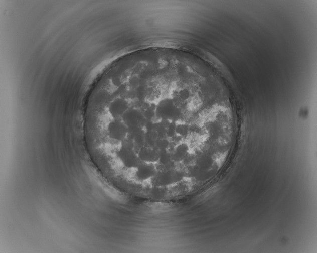 X0000112821027200909181620