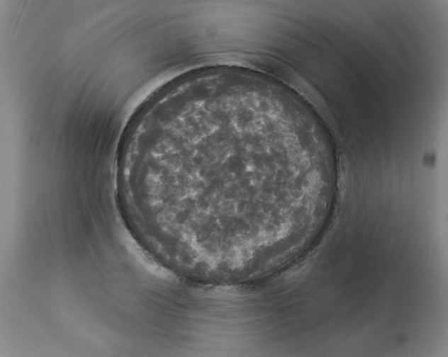 X0000112821028200909181620