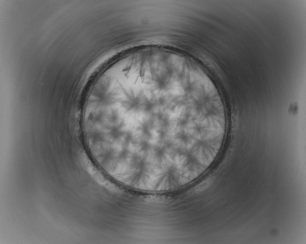 X0000112821029200909181620