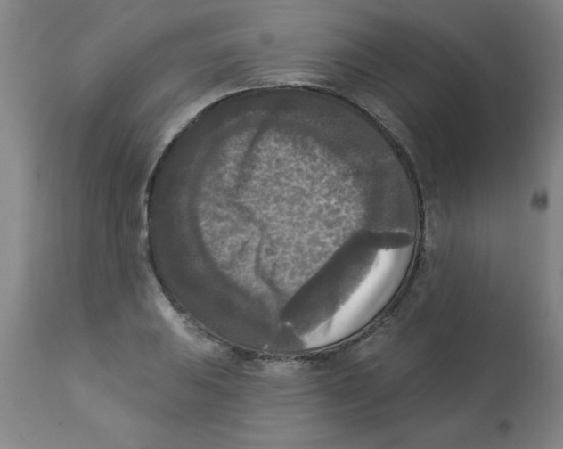 X0000112821031200909181620