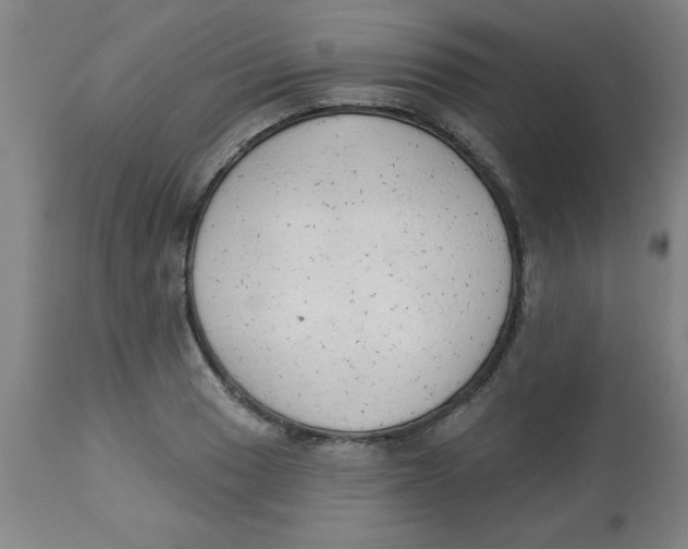 X0000112821033200909181620