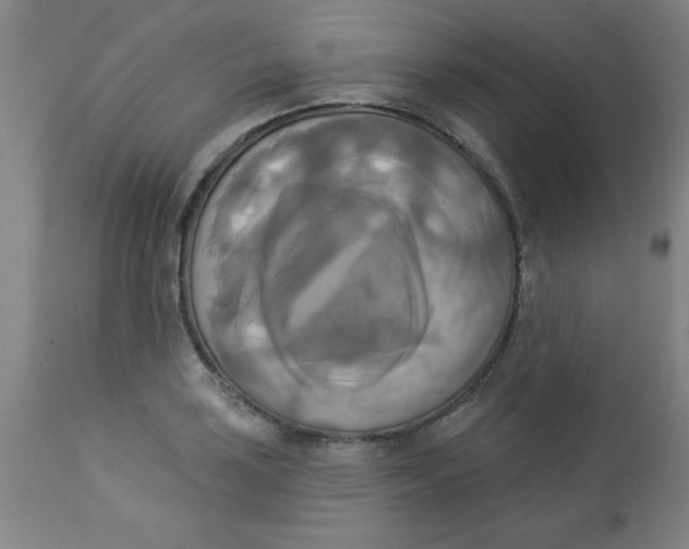 X0000112821035200909181620