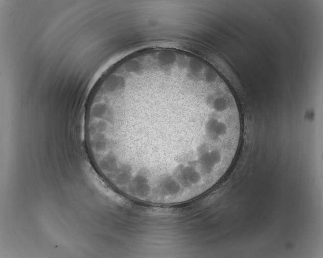 X0000112821036200909181620