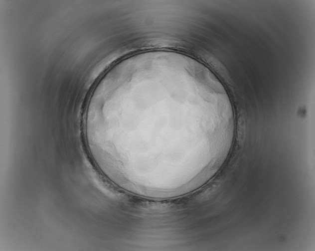 X0000112821039200909181620