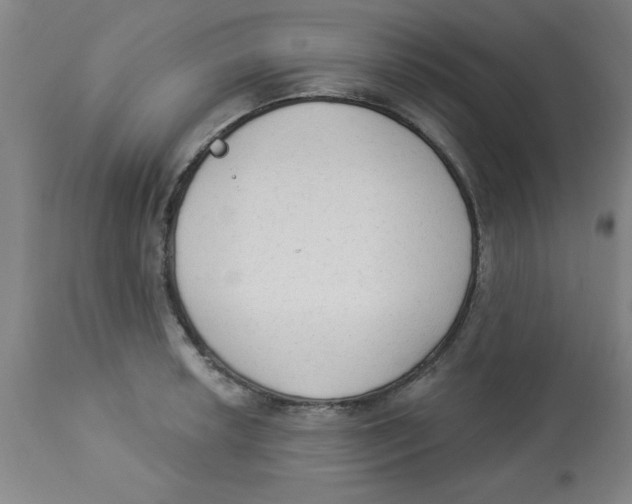 X0000112821042200909181620