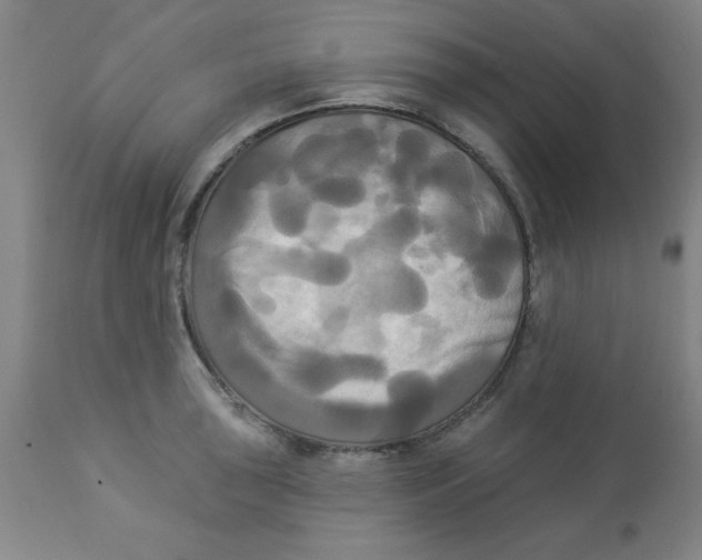 X0000112821043200909181620