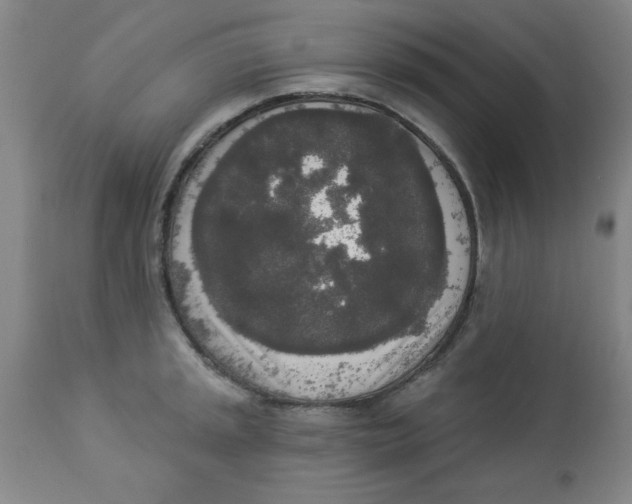 X0000112821045200909181620