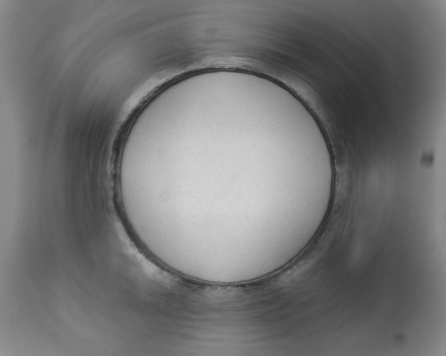 X0000112821046200909181620