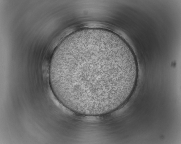 X0000112821049200909181620