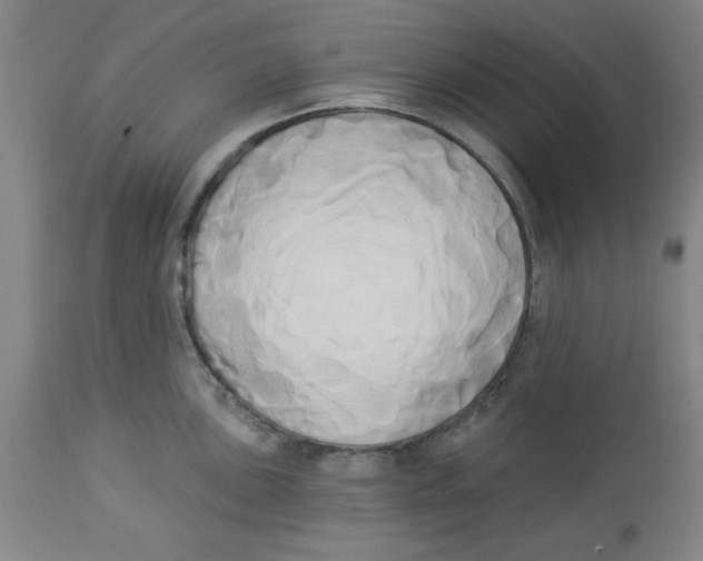 X0000112821051200909181620