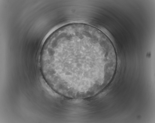 X0000112821052200909181620