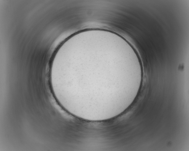 X0000112821053200909181620