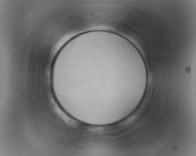 X0000112821054200909181620