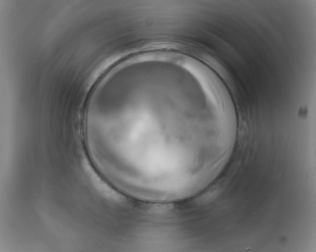 X0000112821055200909181620