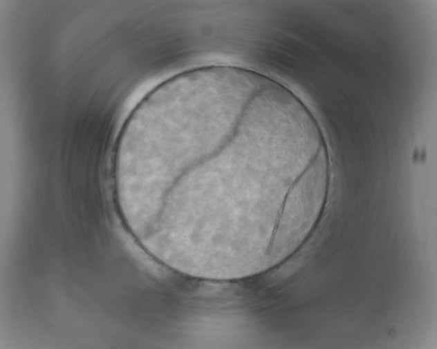 X0000112821056200909181620