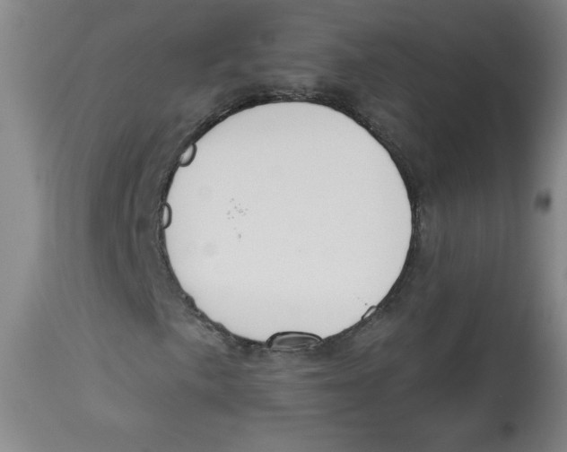 X0000112821057200909181620