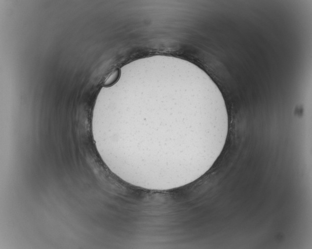 X0000112821058200909181619