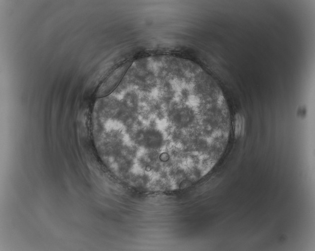 X0000112821059200909181619