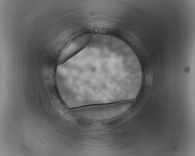 X0000112821060200909181619